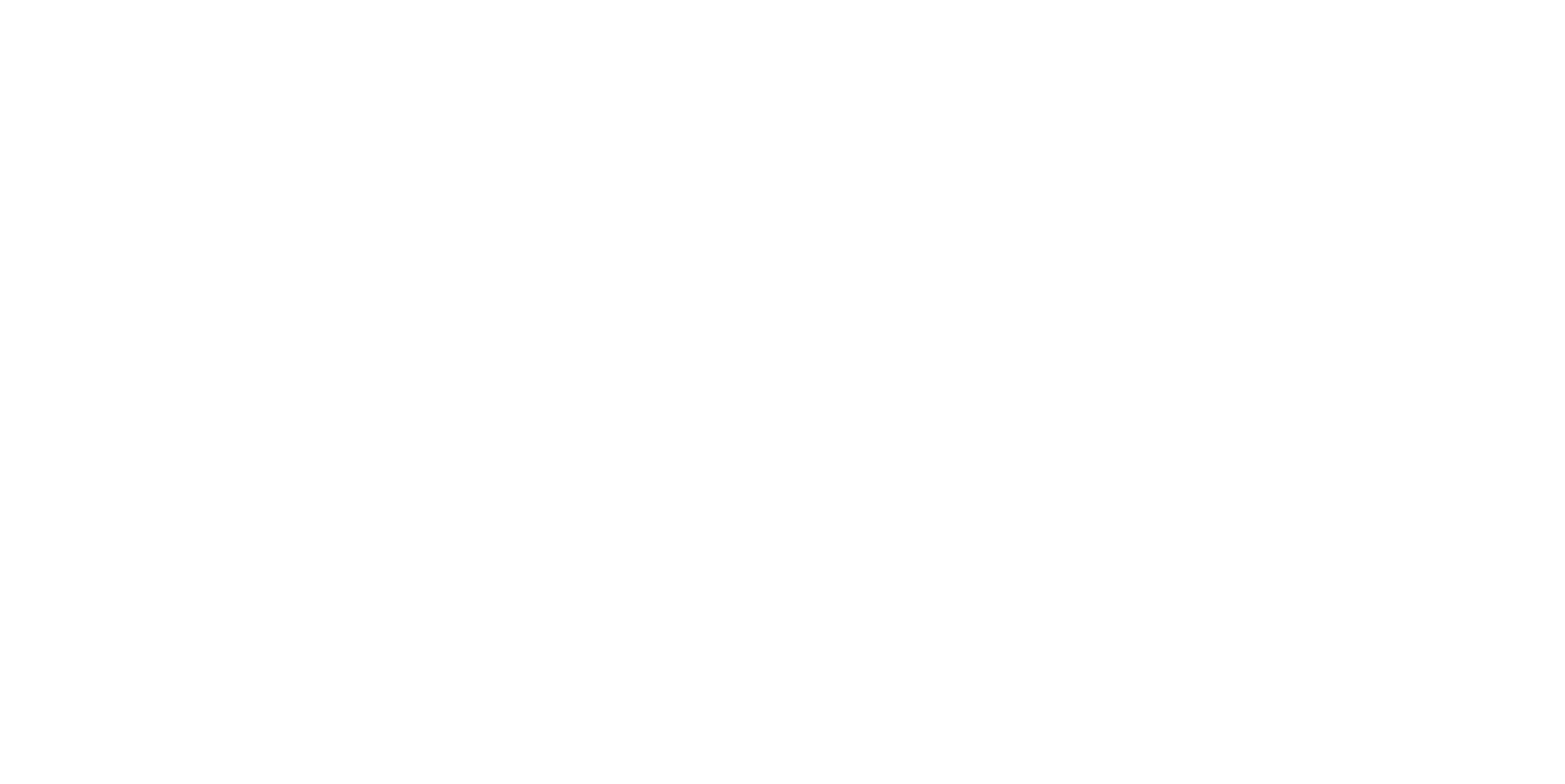 VEGANSKYRIDER